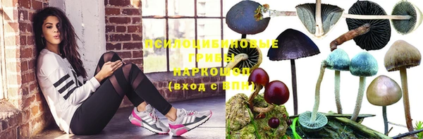 гашик Покачи