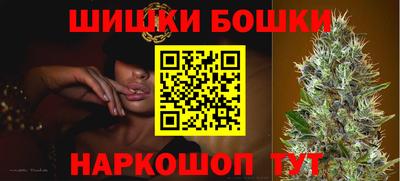 индика Будённовск