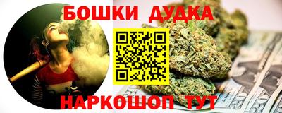 гидра Волгодонск
