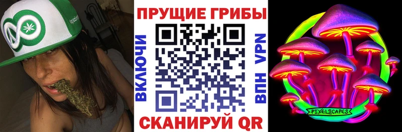 Галлюциногенные грибы GOLDEN TEACHER Грязи