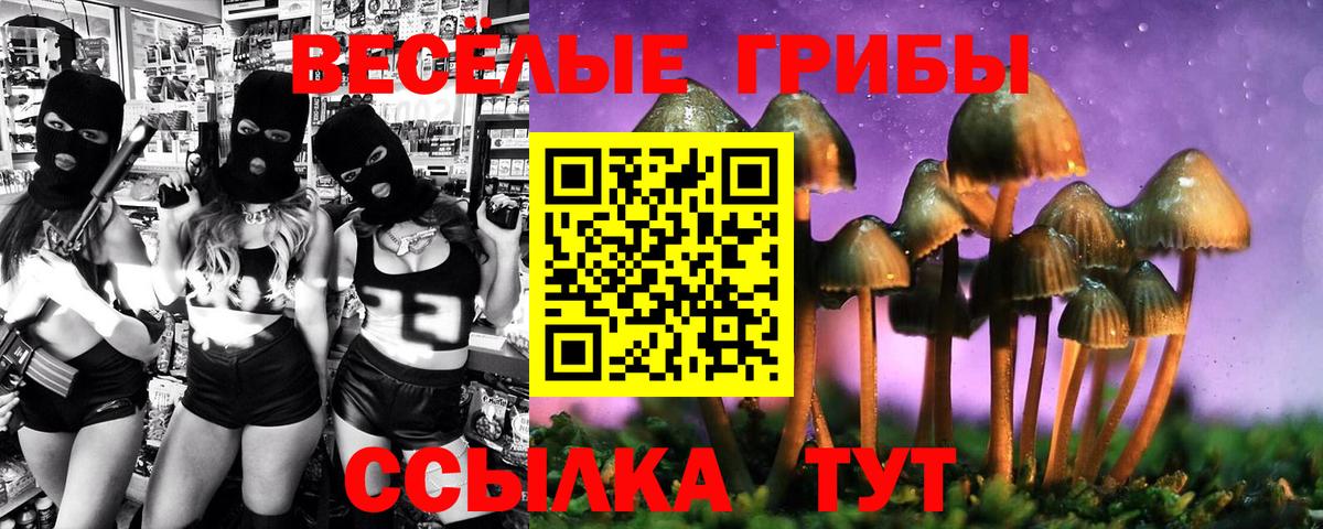 Грязи  Псилоцибиновые грибы Magic Shrooms  даркнет сайт  Вход с VPN 