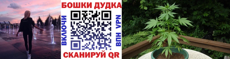 как найти закладки Грязи Бошки марихуана тримм